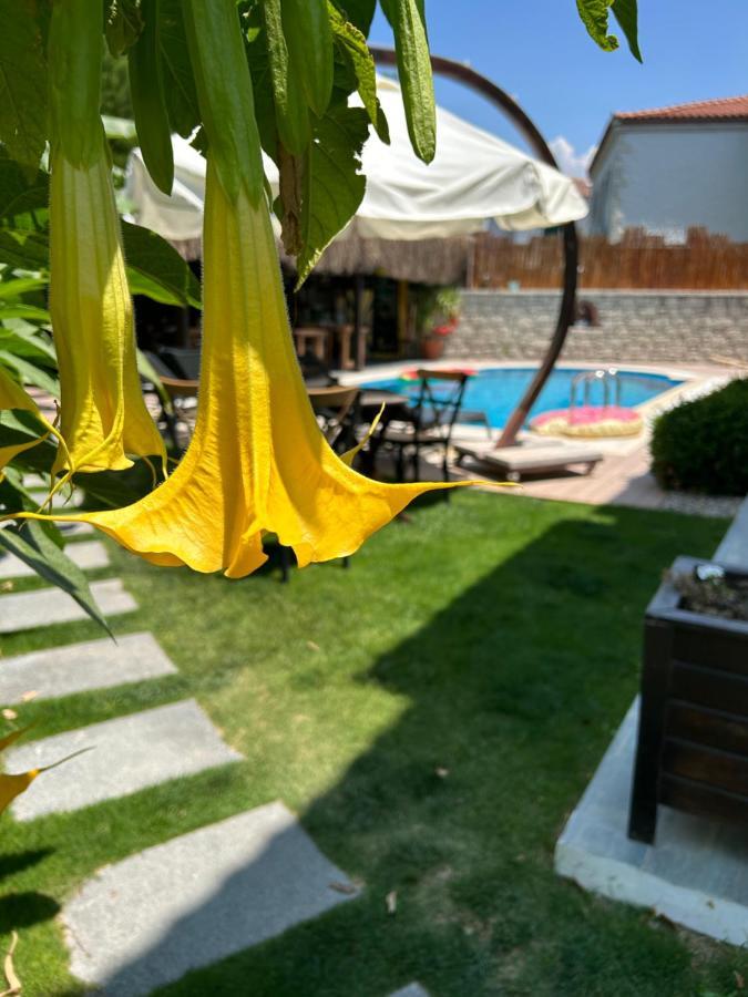 Pupa Alacati Butik Otel Çeşme エクステリア 写真