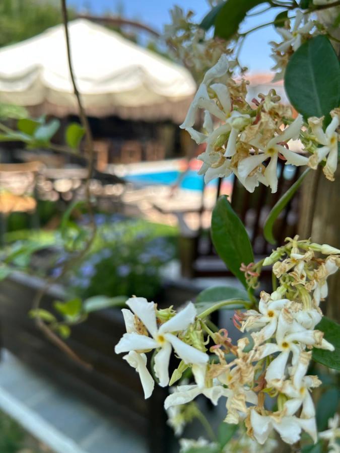Pupa Alacati Butik Otel Çeşme エクステリア 写真